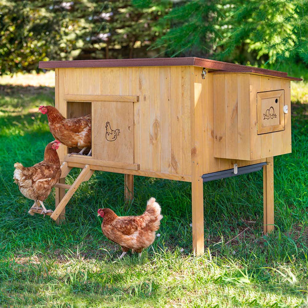 HEN HOUSE 30 Ferplast