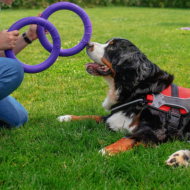 Gioco interattivo per cane Puller due anelli